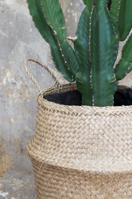 Súmate a la última tendencia: decorar con cactus - Foto 1