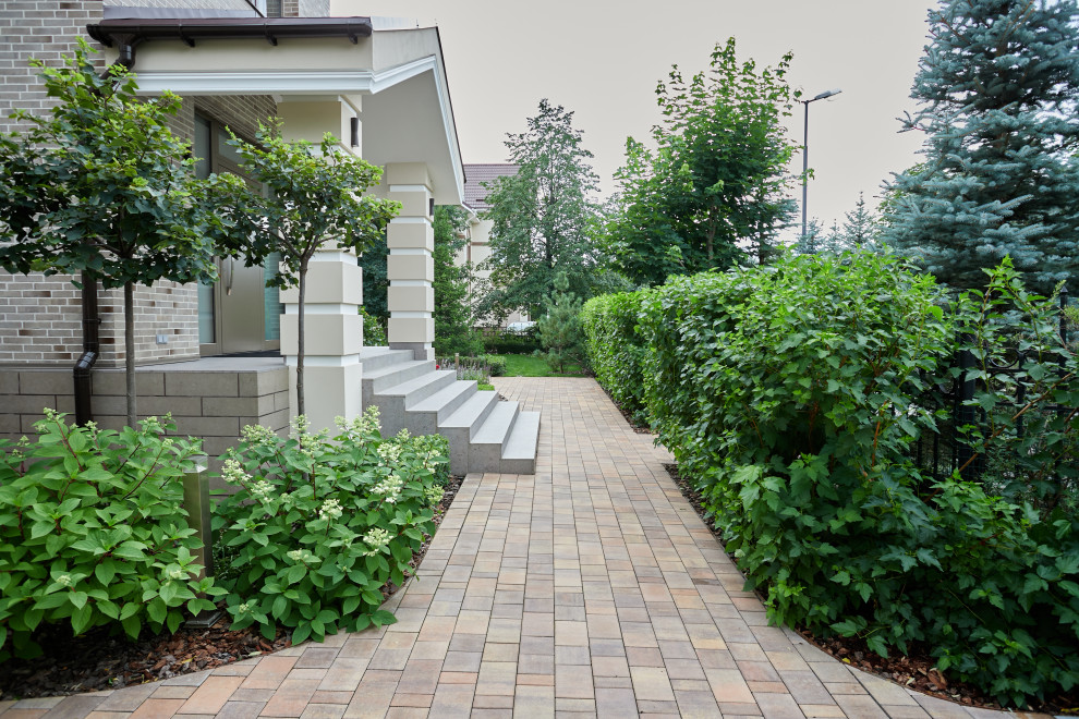 Чистые линии