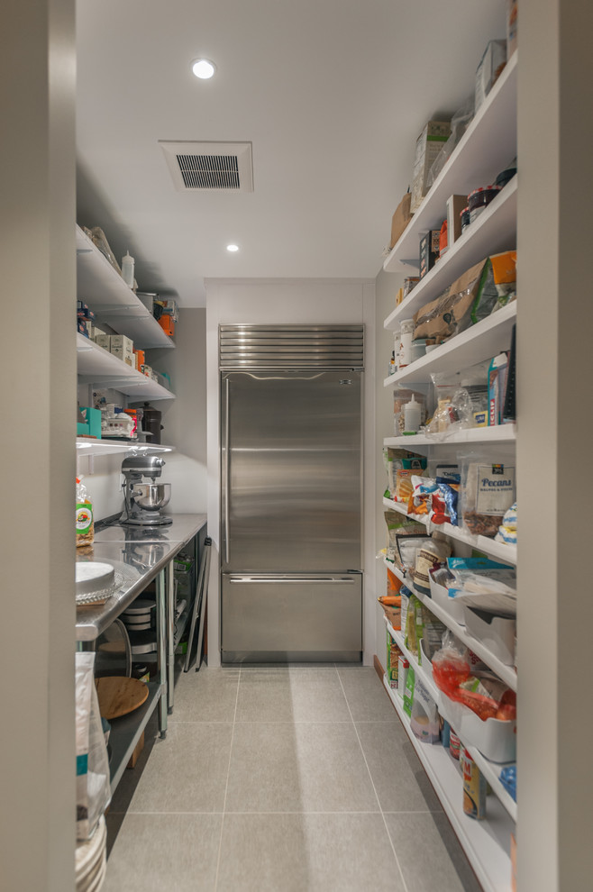 This is an example of a mid-sized midcentury galley kitchen pantry in Detroit with stainless steel appliances.