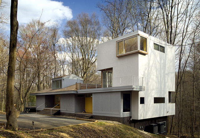 Forest House trendy-hus-og-facade
