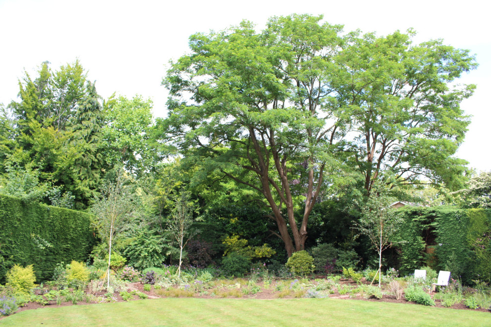 Inspiration for a mid-sized contemporary backyard partial sun garden in Surrey with a garden path.