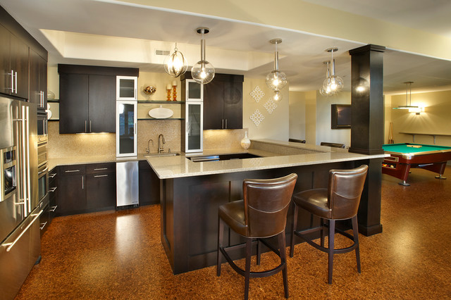 Modern Basement transitional-basement