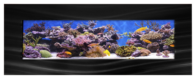 Aussie Aquariums 2.0 Vista Wall Mounted Aquarium - Complete Easy-to-Maintain Li