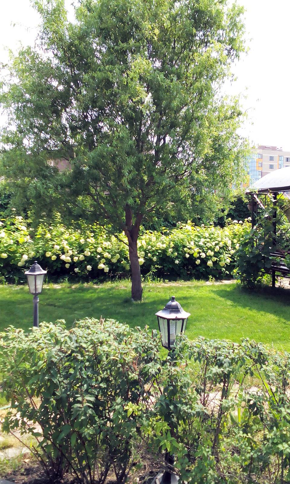 Сад, в котором живет вдохновение