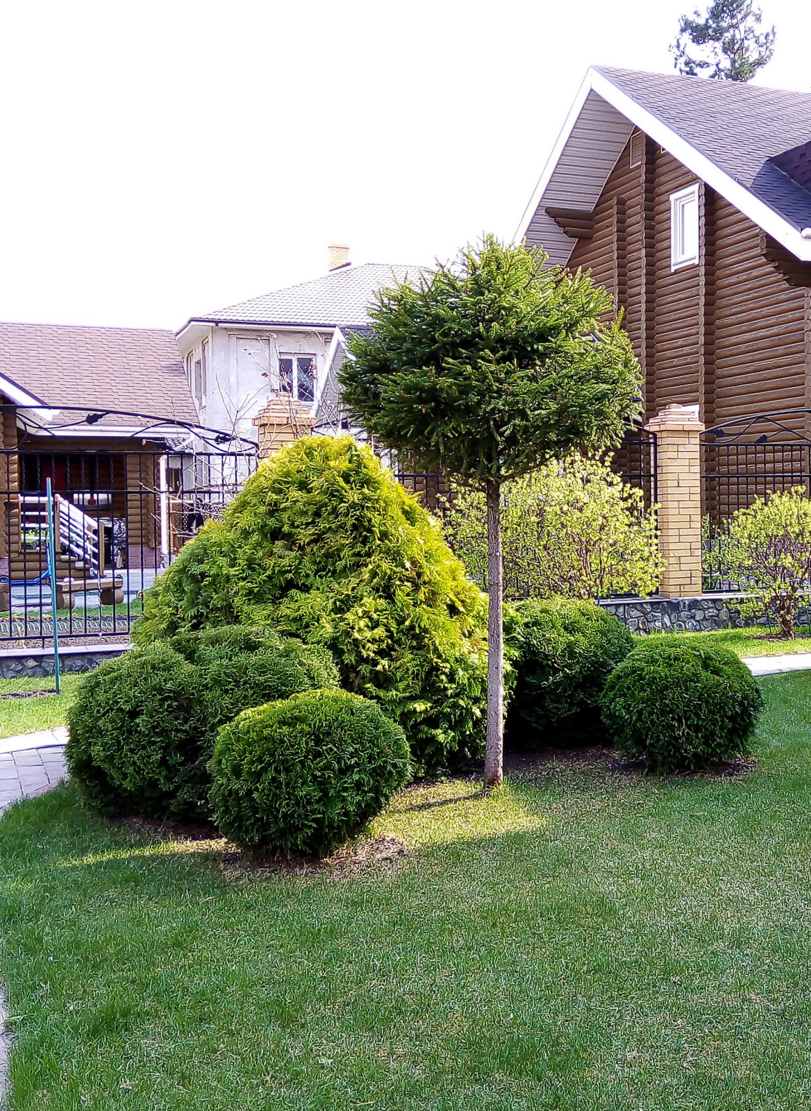 Обрезка и стрижка деревьев и кустарников