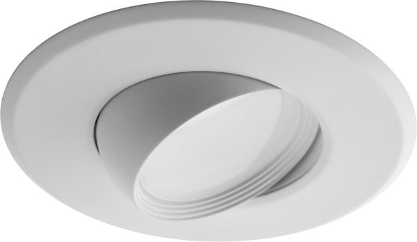 Eyeball downlight