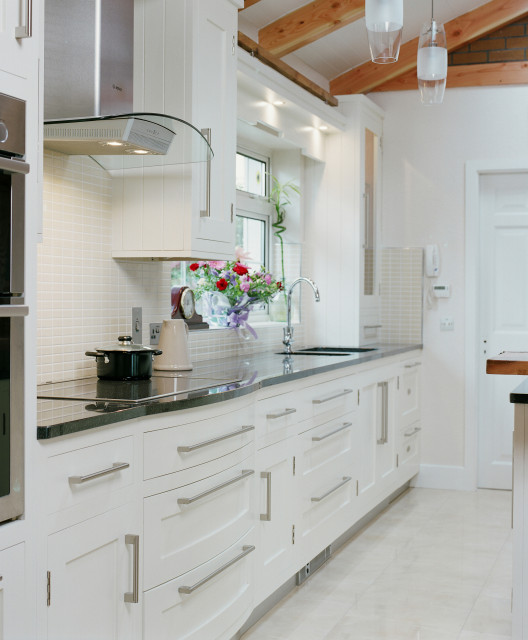 Castlebar Range transitional-kitchen