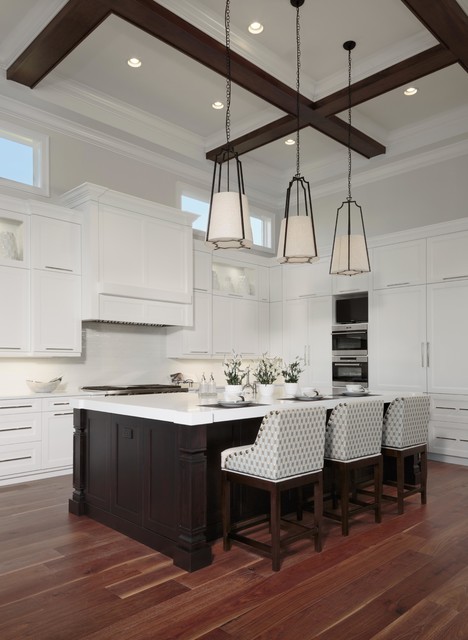 Thompson Residence transitional-kitchen