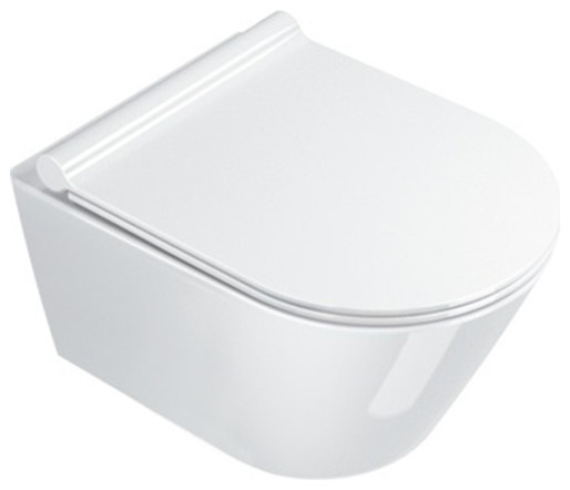 New Zero 50 cm Wall Hung WC, White Gloss