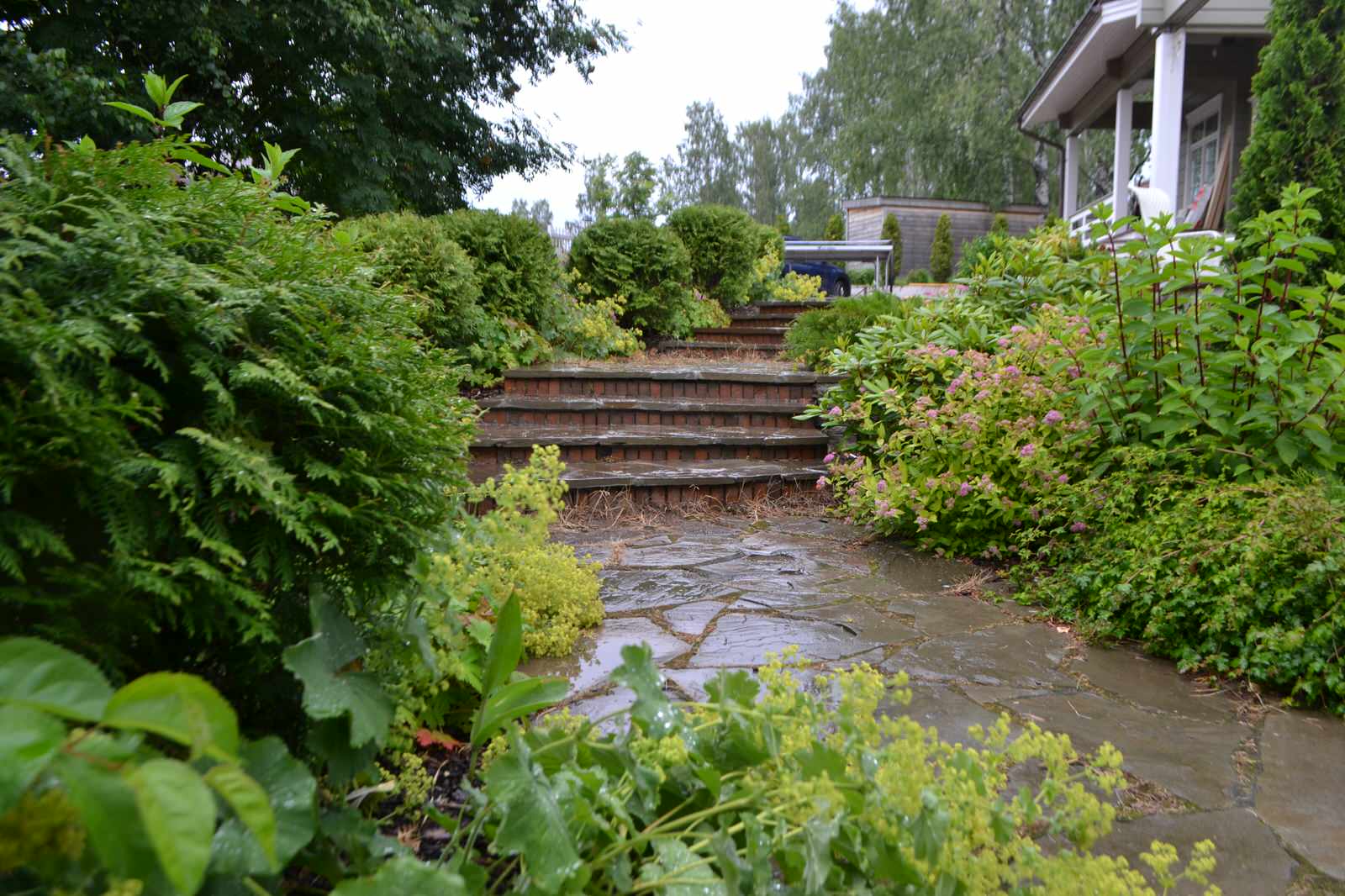 Оформление лестницы из клинкерного кирпича туей западной