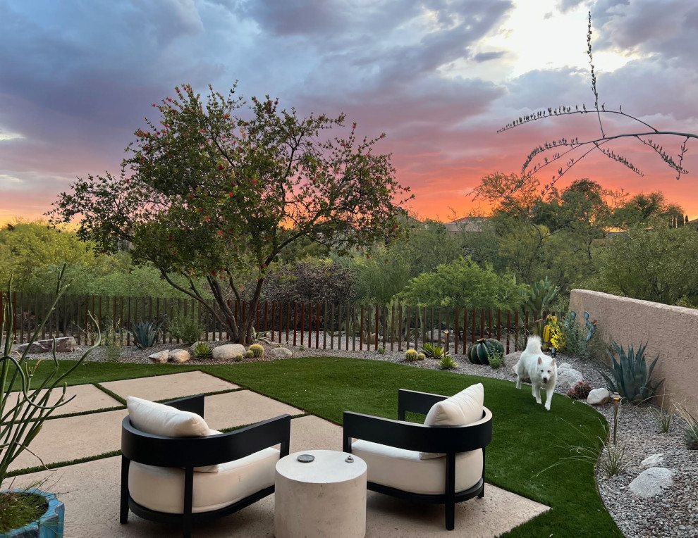 Mittelgroßer Moderner Garten im Sommer, hinter dem Haus mit Wüstengarten, direkter Sonneneinstrahlung, Betonboden und Metallzaun in Phoenix
