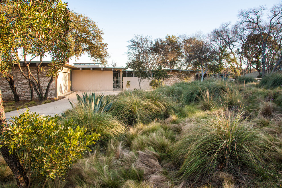 Mid-century Modern Now