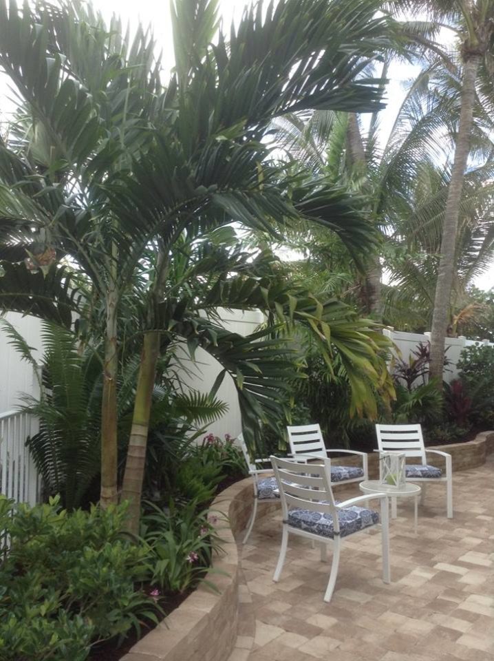 Photo of a mid-sized full sun backyard stone landscaping in Miami.