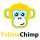 Yellow Chimp