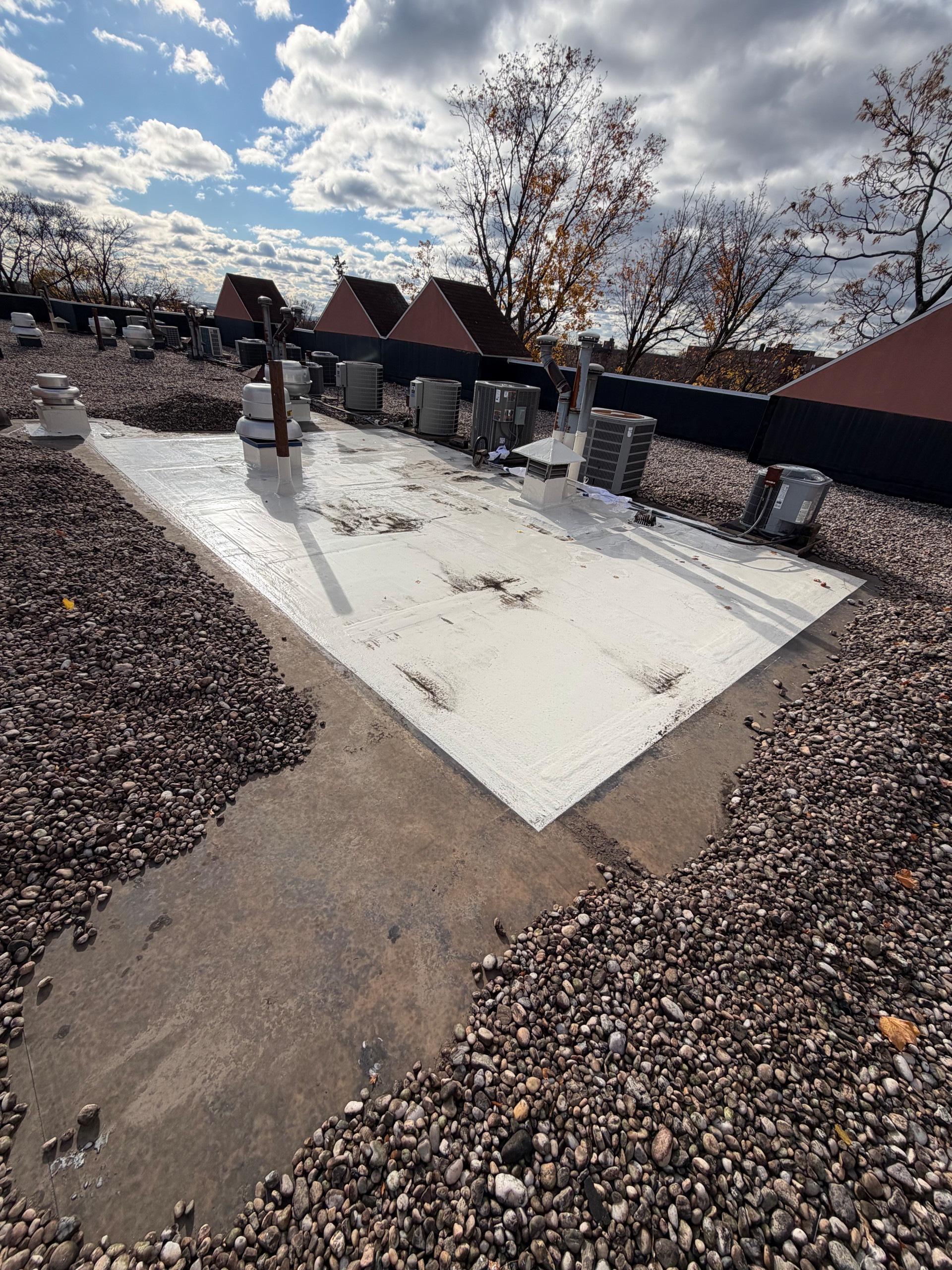 Leak Repair [Ecodur Application]