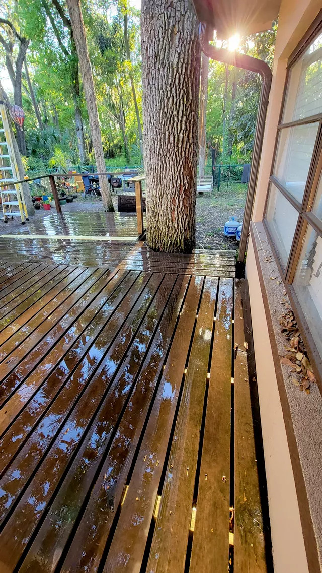 Deck & Fence Repair