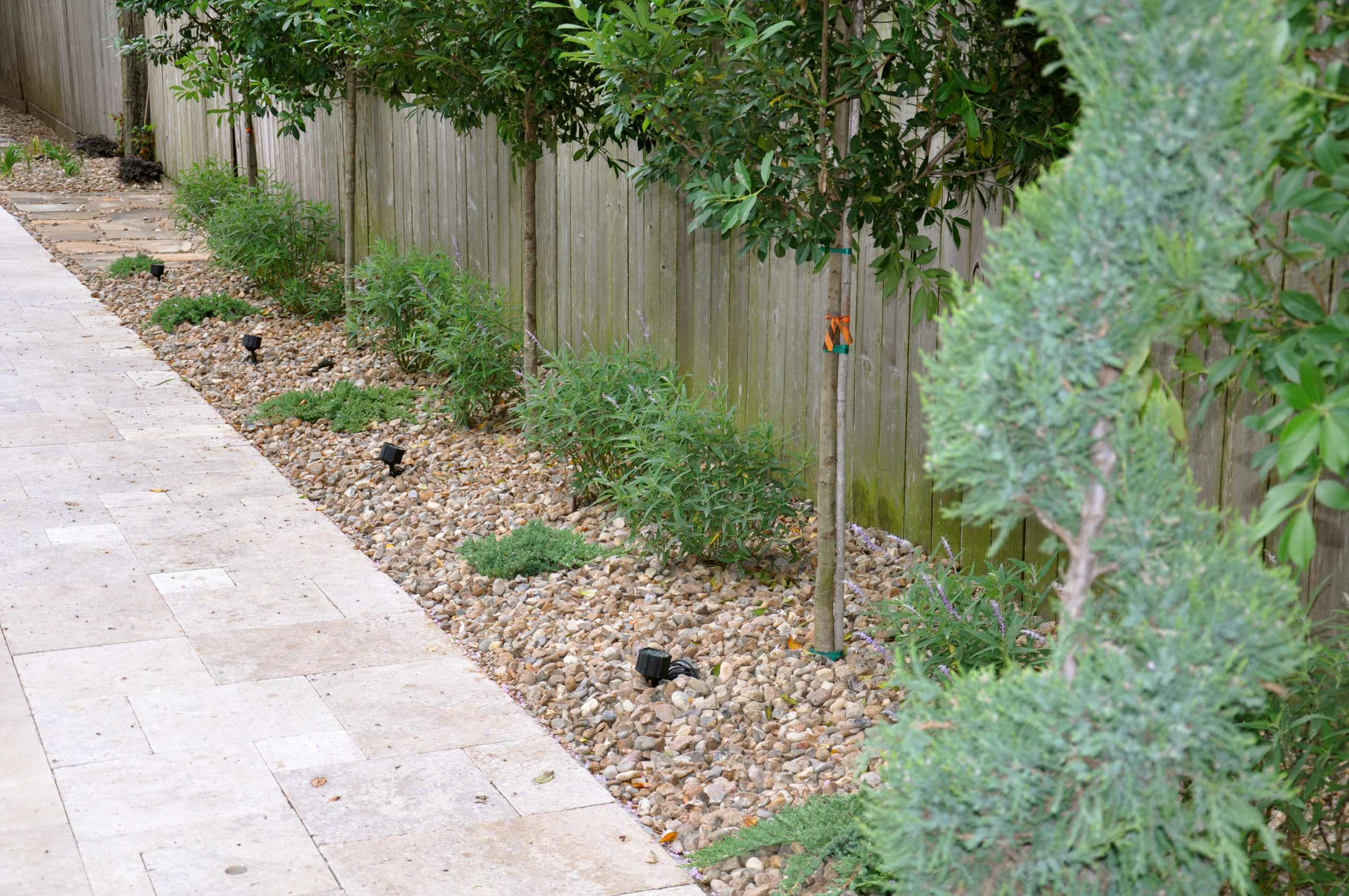 Landscape Lighting