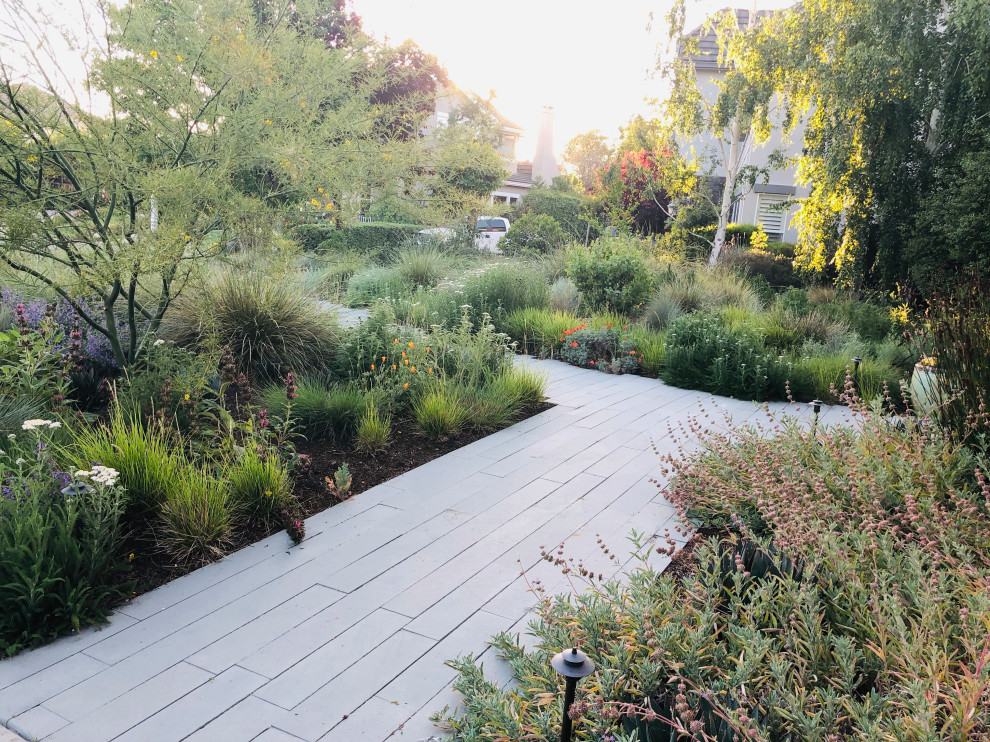 Стильный дизайн: солнечный, весенний засухоустойчивый сад среднего размера на переднем дворе в стиле модернизм с дорожками, хорошей освещенностью, покрытием из каменной брусчатки и с деревянным забором - последний тренд
