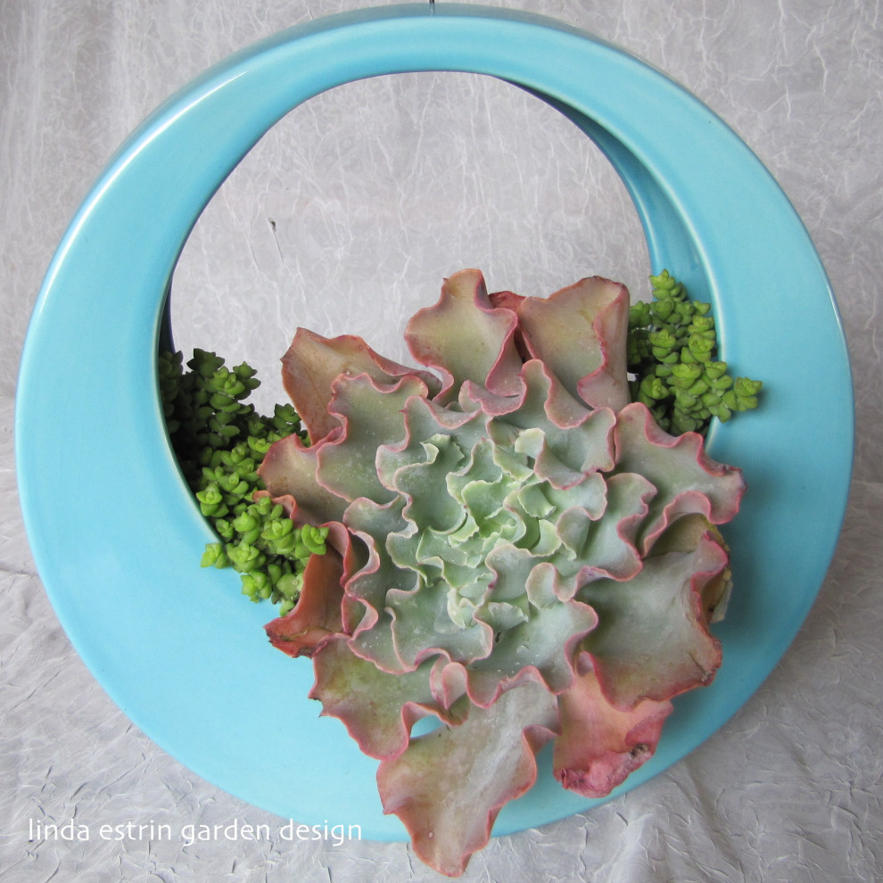Succulent Pots & Walls