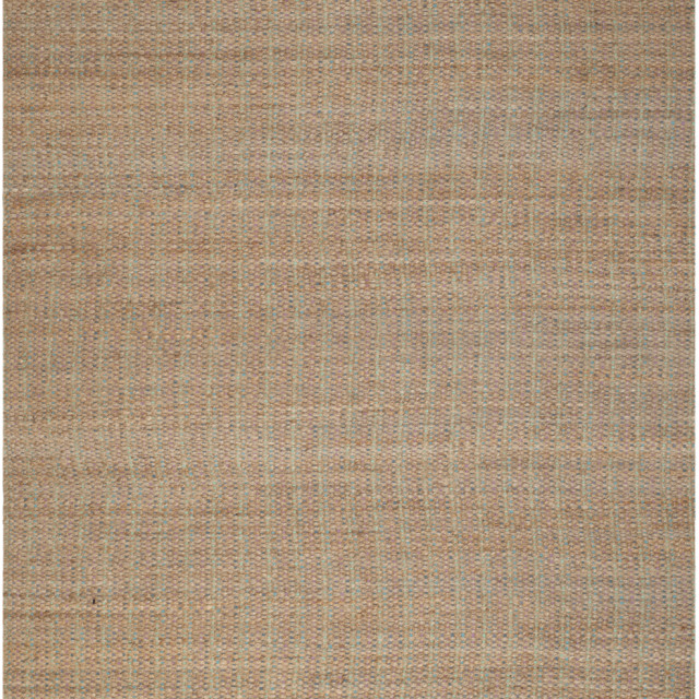 Safavieh Cape Cod Collection Cap811b Handwoven Aqua Rug, 8' x 10 ...