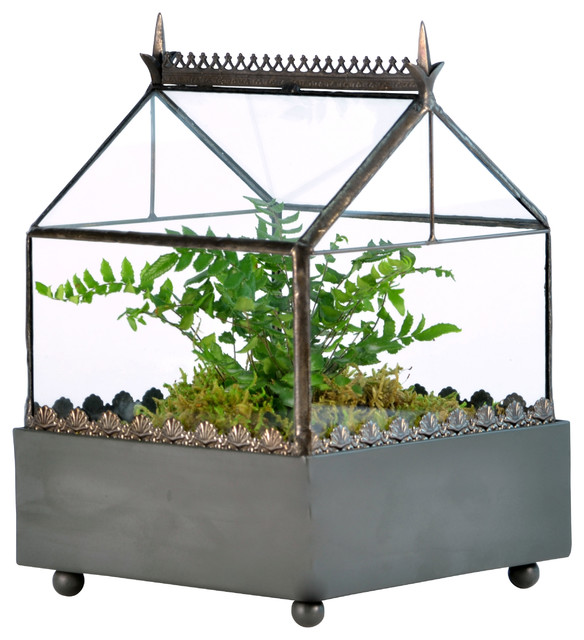 Square Terrarium, Gothic Style Traditional Terrariums by H Potter