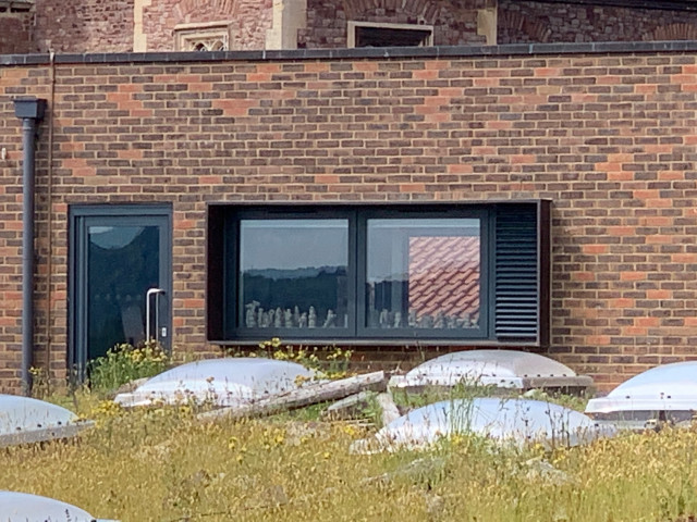 Rear Windows 