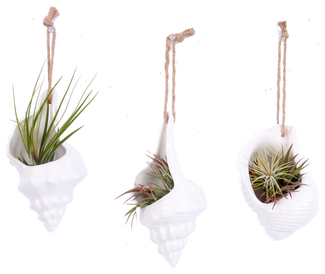Ceramic Shell Hanging Planters, Set of 3