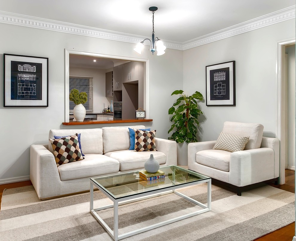 Design ideas for a small transitional open concept family room in Brisbane with grey walls, medium hardwood floors and no tv.