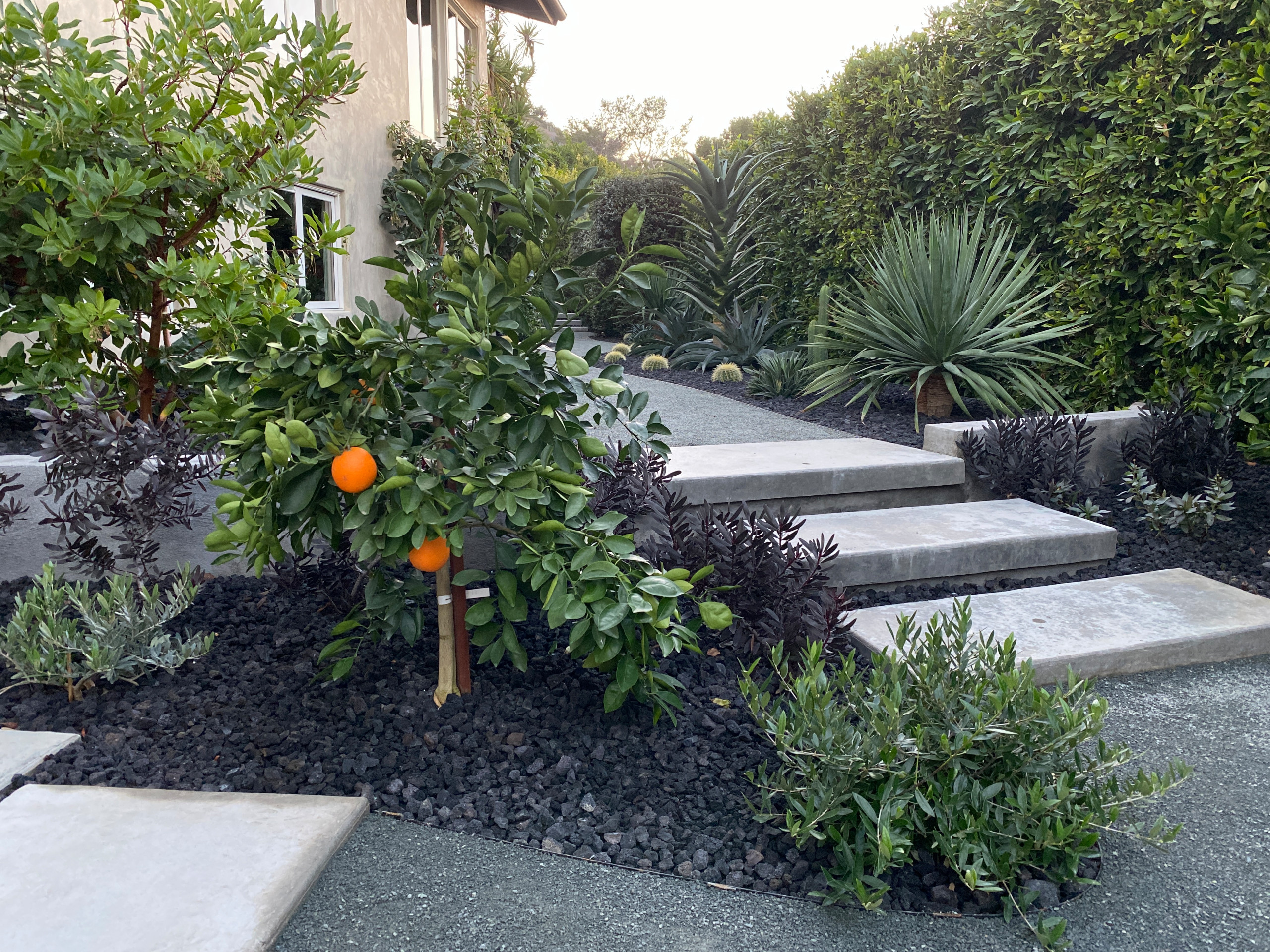 Private Los Angeles Oasis