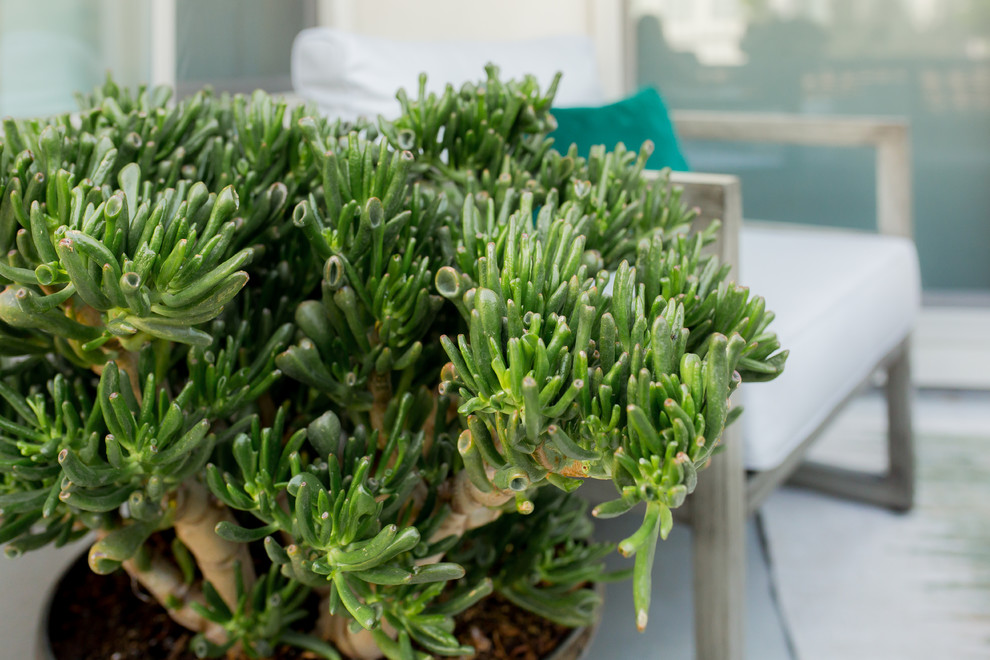 Probert Patio | Lakewood, CO | Rustic Mediterrean Charm