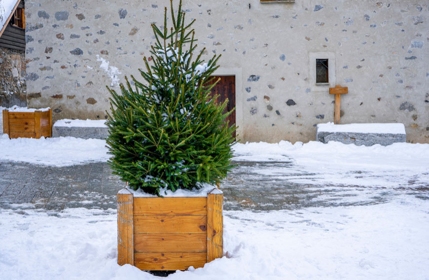 Design ideas for a landscaping in Toronto.