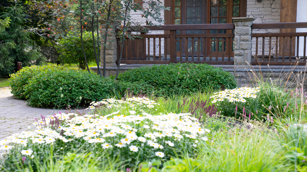 Мечта об Альпах. КП "Вымпел", Новорижское шоссе. 2017 г.