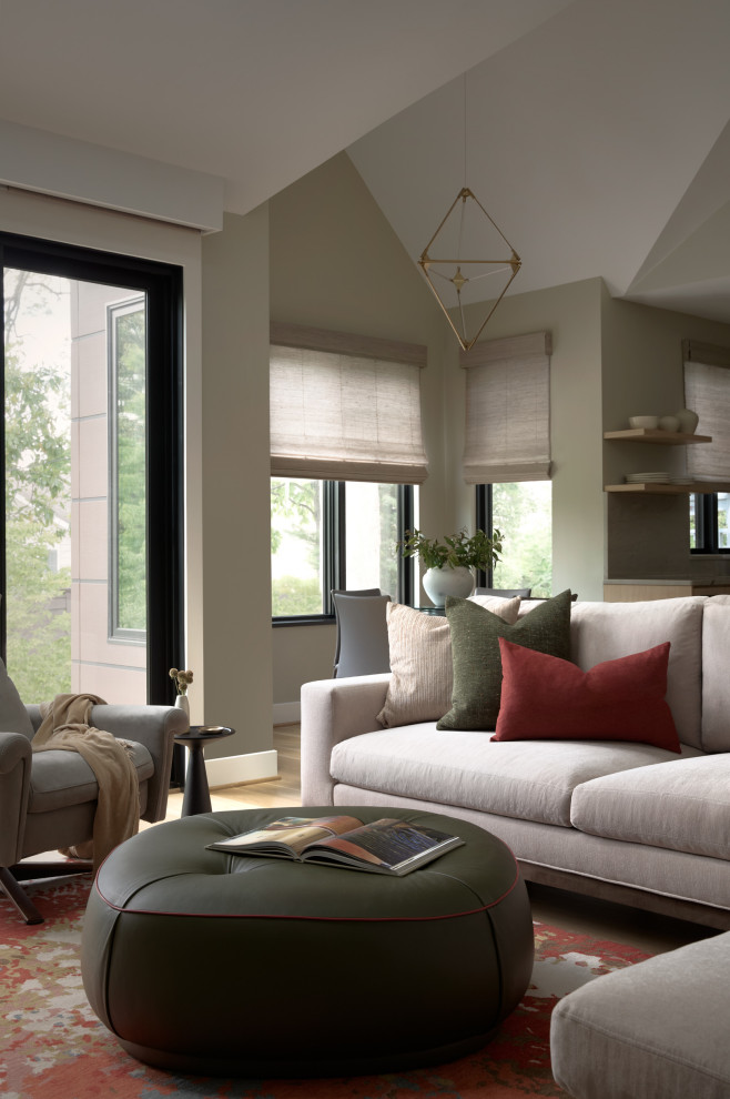 Living room - contemporary living room idea