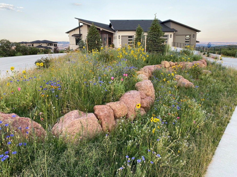 Bild på en stor funkis trädgård i full sol som tål torka, blomsterrabatt och framför huset på sommaren