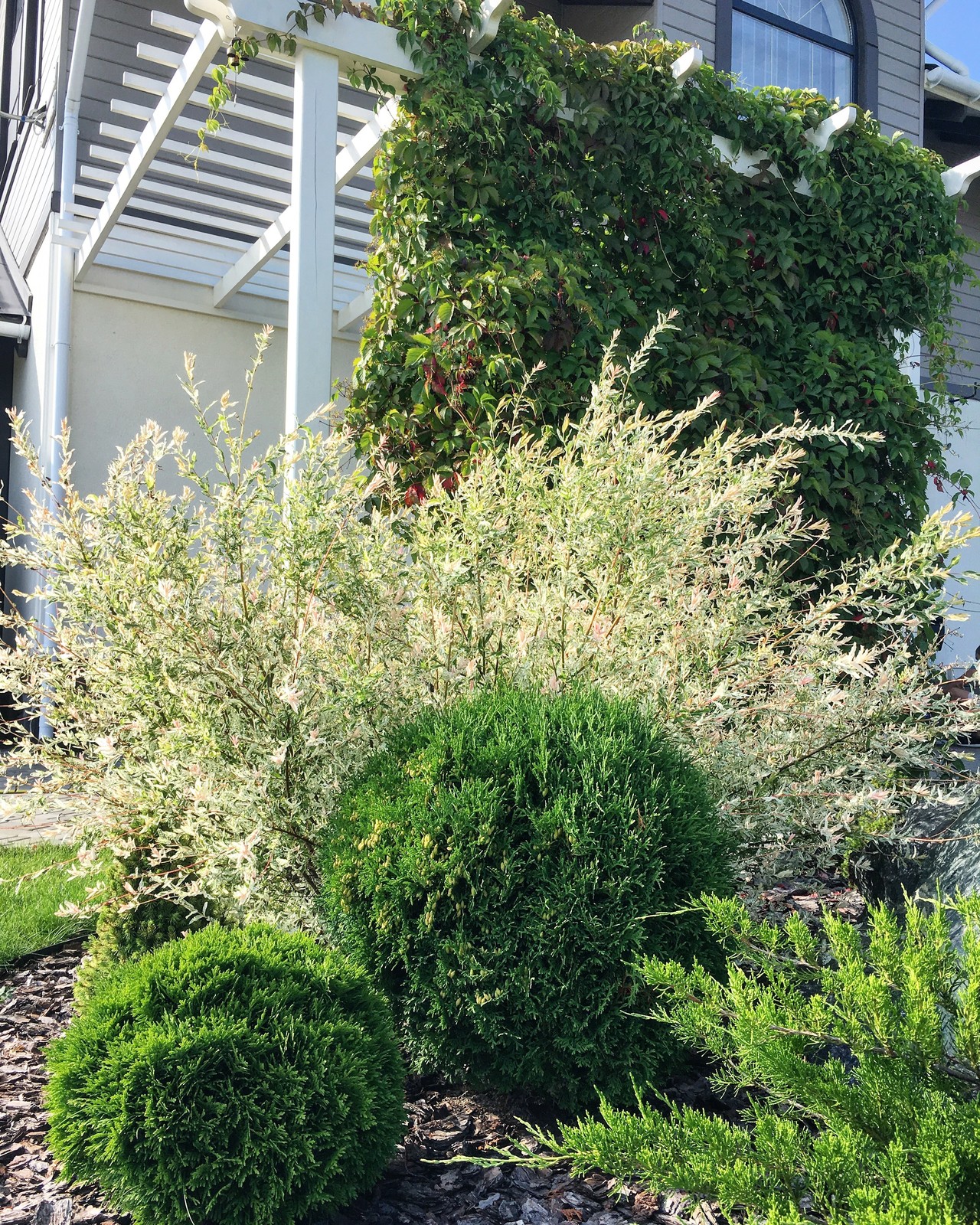Ландшафтный дизайн сада в поселке "Олимп"