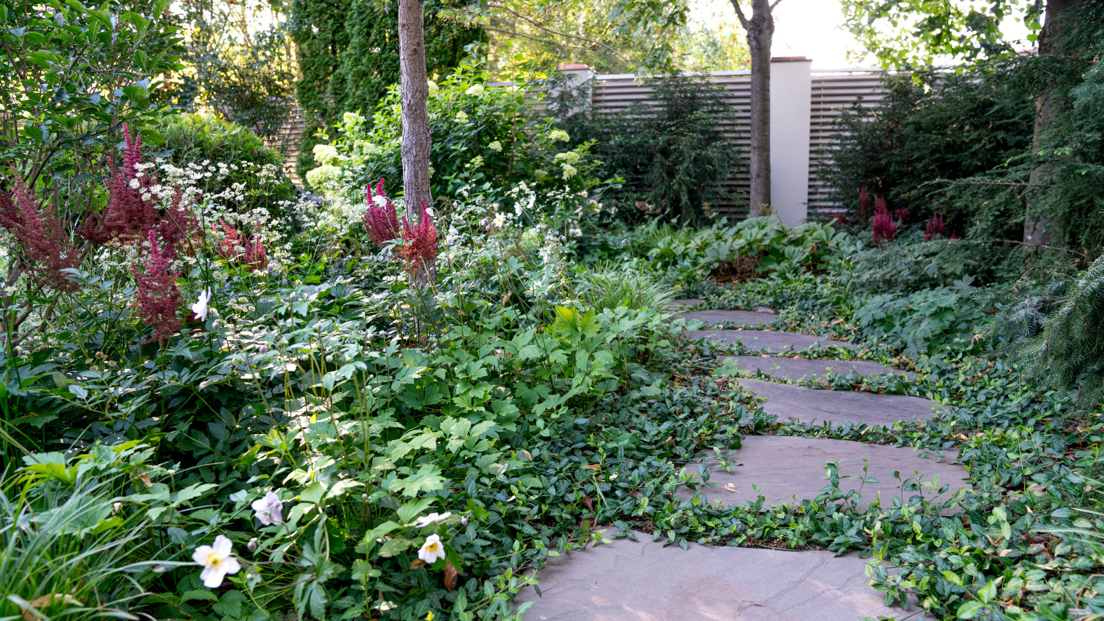 Очарование английского сада КП Балтия 2018 г