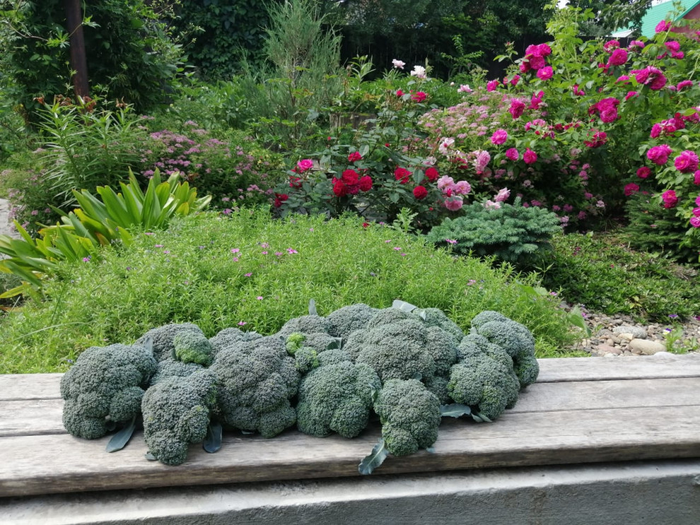 Сад для ландшафтного дизайнера.