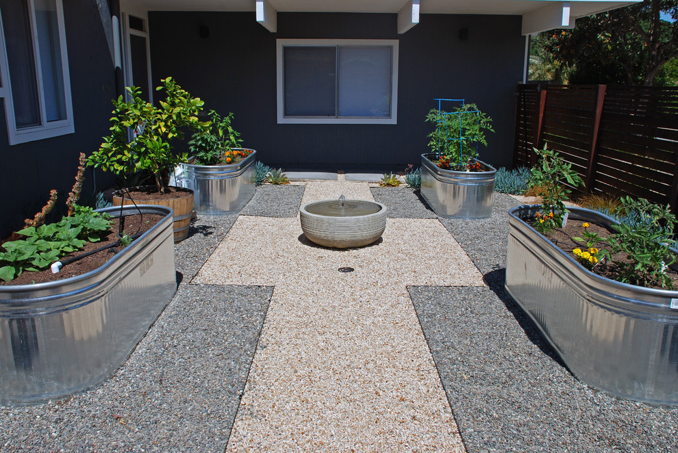 Mid-sized contemporary courtyard full sun garden in San Francisco with a vegetable garden and gravel.