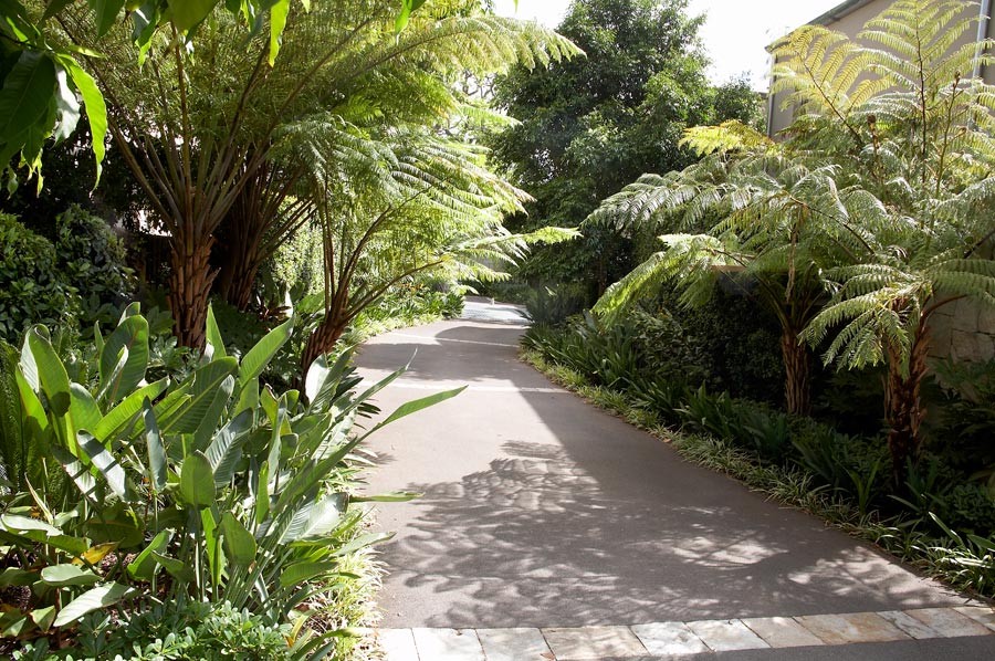 This is an example of a modern garden in Sydney.