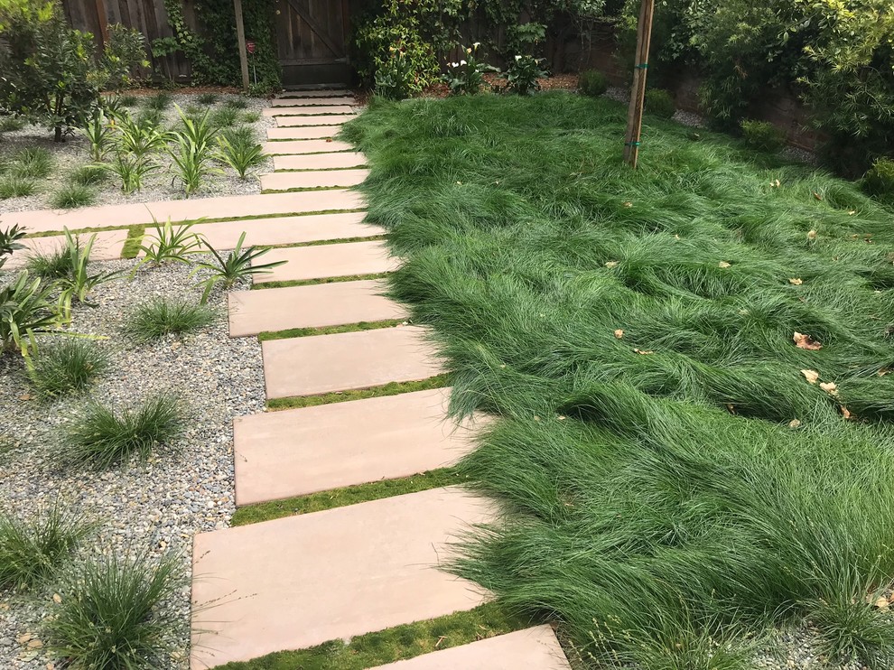 This is an example of a large modern front yard partial sun xeriscape for summer in San Francisco with a garden path and concrete pavers.