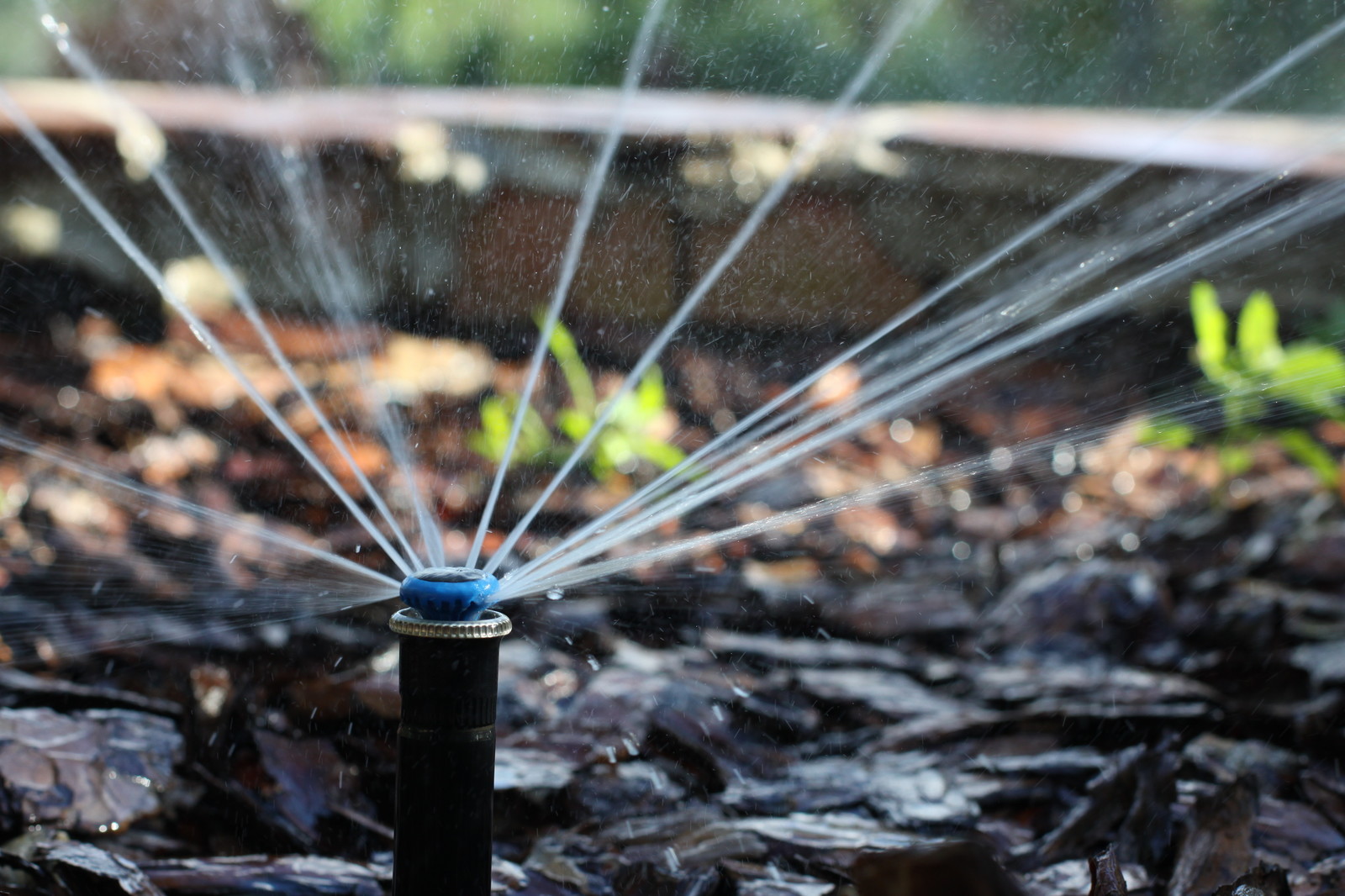 Проект автополива 15 соток