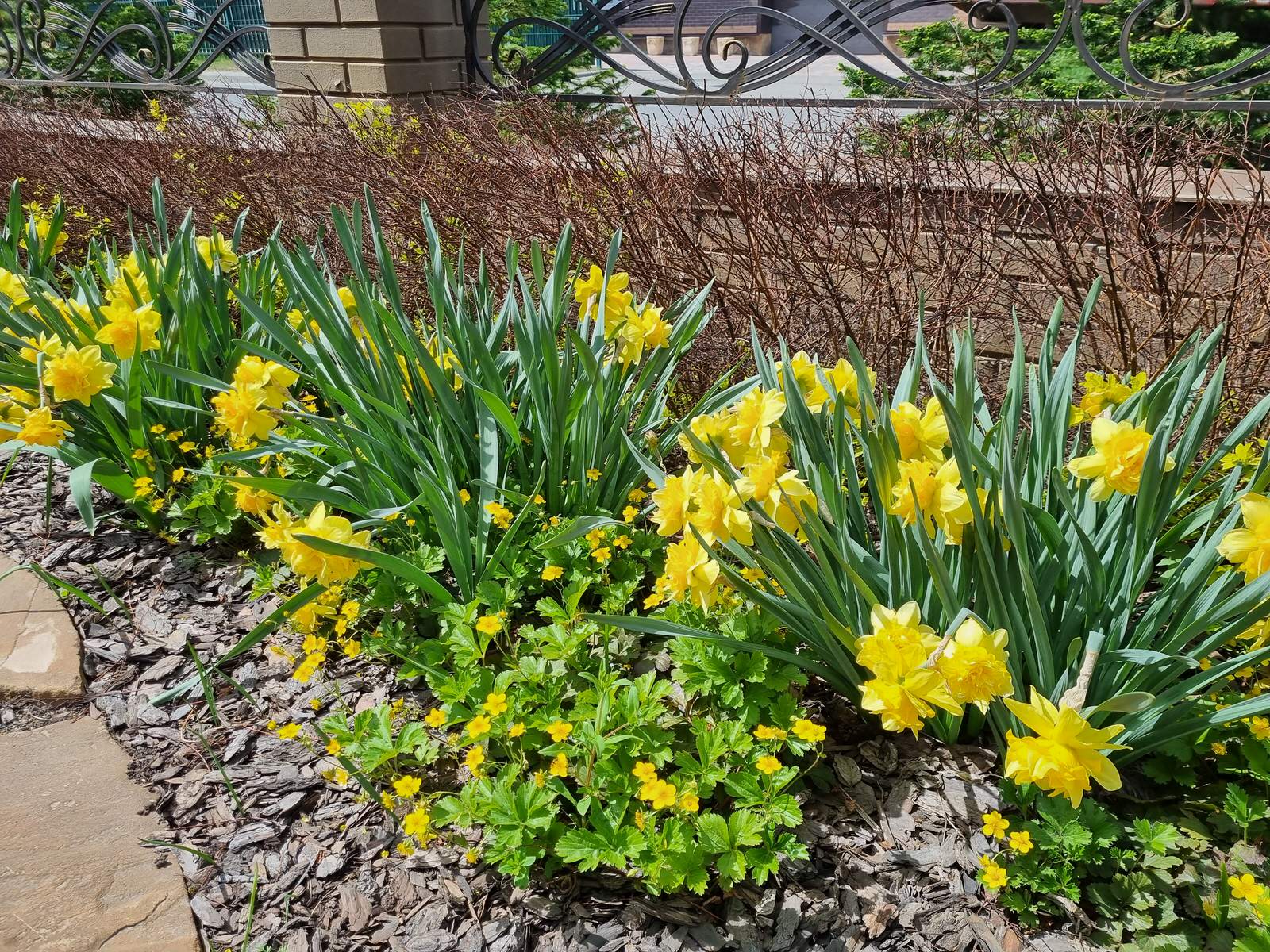 Серебрянный бор