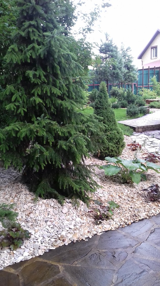 Дизайн сада в тени. Фрагмент.