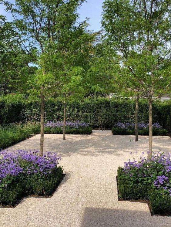 МНОГОЛЕТНИКИ