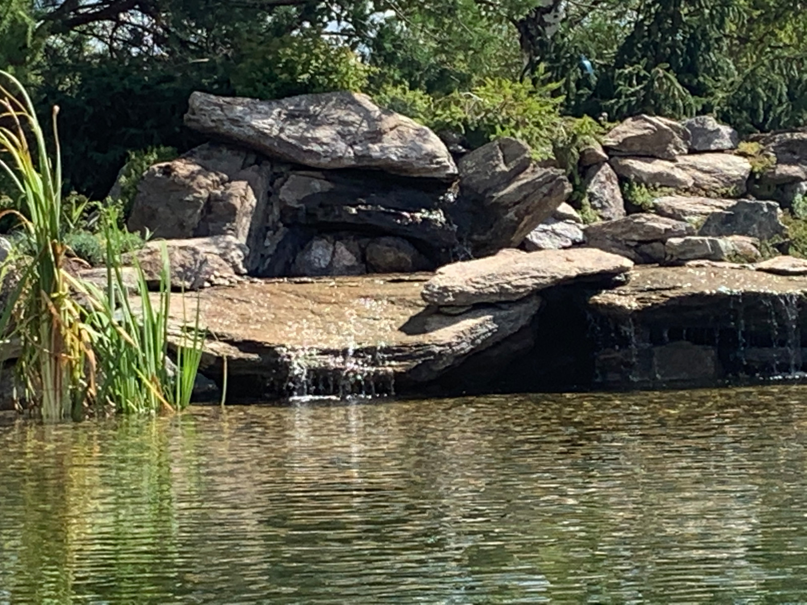 Ландшафт в поселке "Бенилюкс"