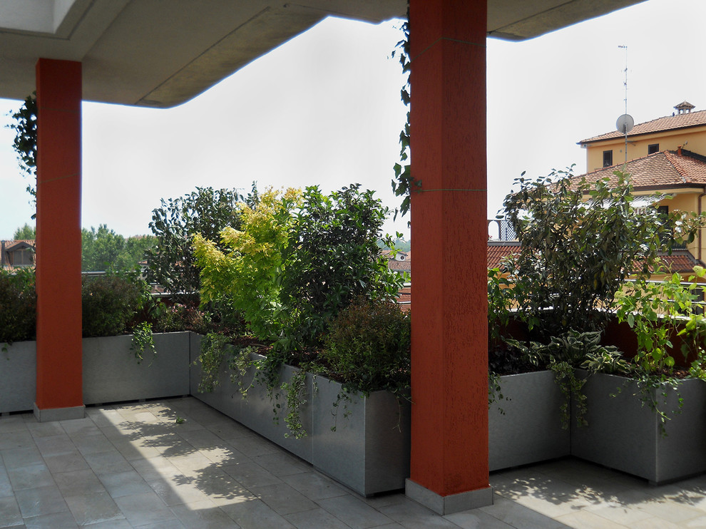 TERRAZZA CON VELA