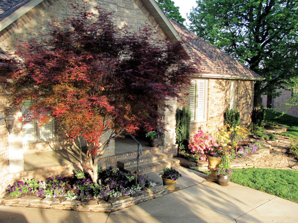 Inspiration for a mid-sized transitional full sun landscaping for spring.