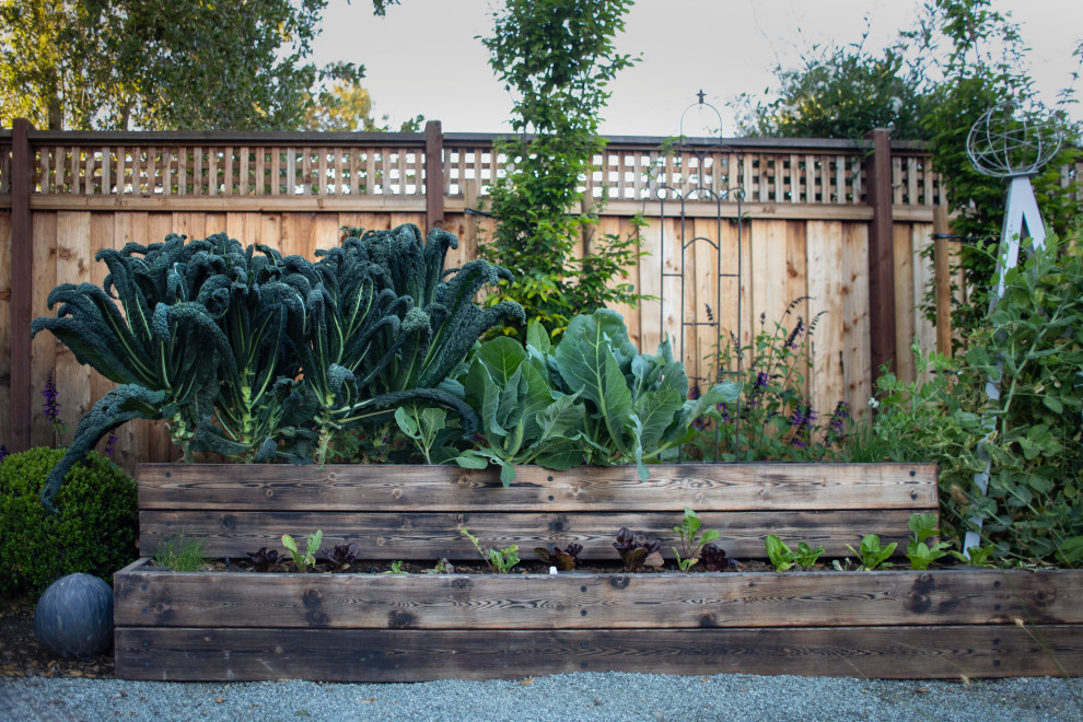 Exemple d'un petit jardin potager arrière tendance avec une exposition ensoleillée, du gravier et une clôture en bois.