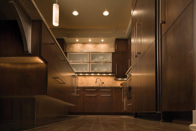 Transitional Treasure transitional-kitchen
