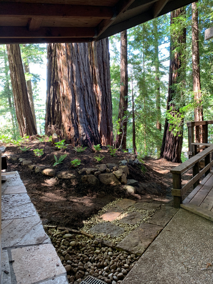Santa Cruz Mountain Elevation